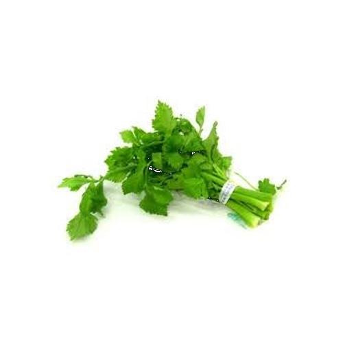 Apio gusto (atado) - Cruje y refresca, sabor que se pesca.