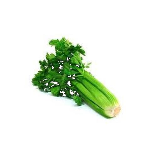 Apio Planta - Del tallo al corazón, frescura en cada rincón.