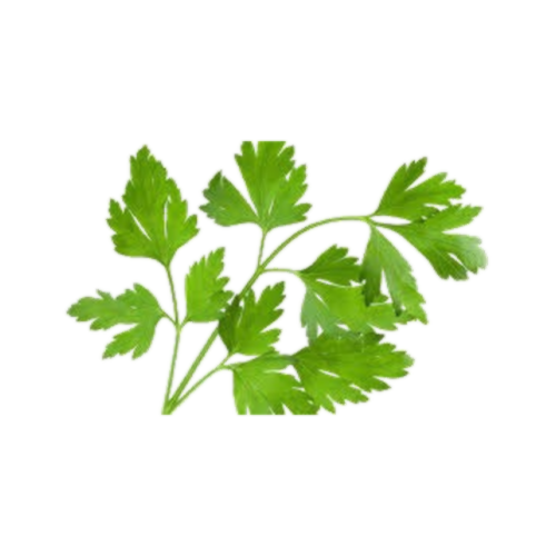 Perejil (atado) - Verde chispa y sol sutil, siempre fresco, el perejil.