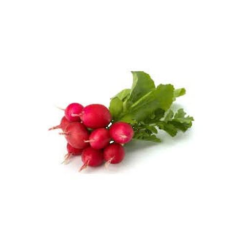 Rabanito - Rosa risueño, pica como un sueño